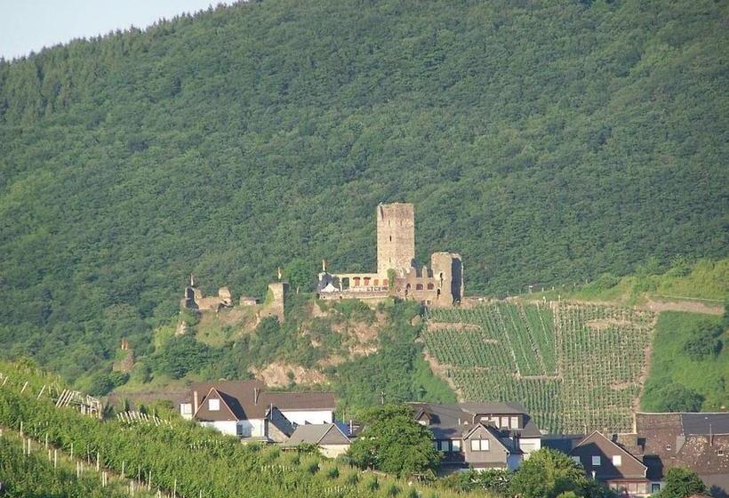 Pension Mosellablick