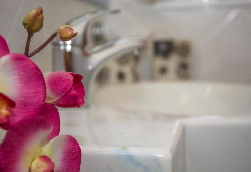 בית מלון כפרי Miranda