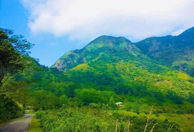 Отель Sir Johns Bungalow