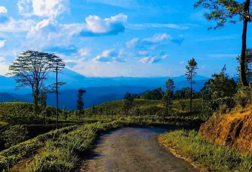 ホテル Sir Johns Bungalow