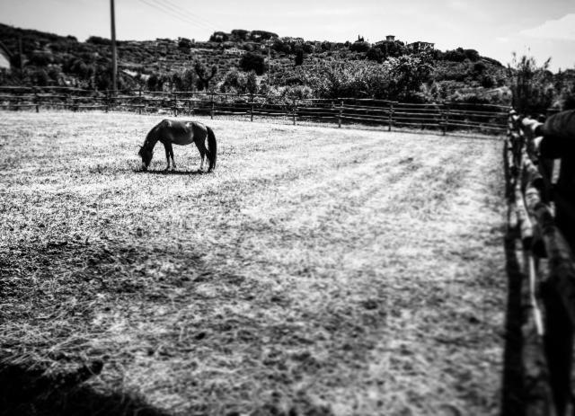 فندق Agriturismo Quattro Pini