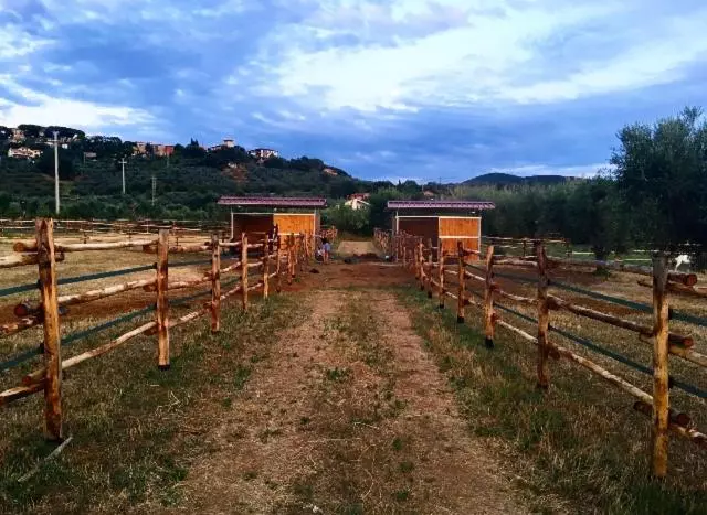 ホテル Agriturismo Quattro Pini