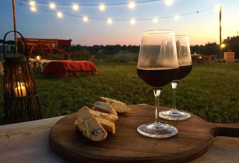 ホテル Agriturismo Quattro Pini