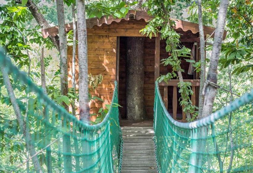 בית מלון כפרי La Conca