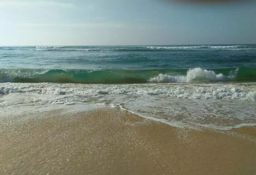 ペンション Rainbow Surf Beach