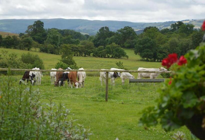 Smithfield Farm Bed & Breakfast