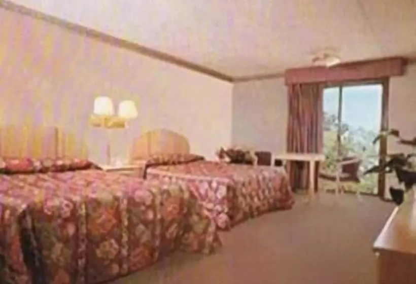 Отель Chateau Royale Inn