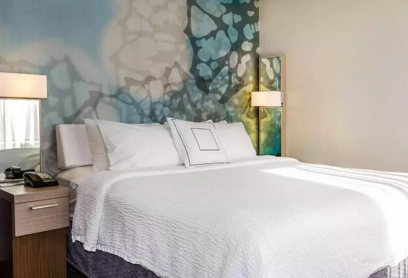 فندق Courtyard By Marriott Nashville At Opryland