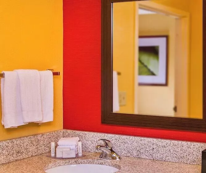 בית מלון כפרי Courtyard By Marriott North Charleston Airport Coliseum