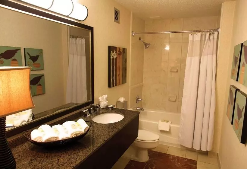 ホテル Sonesta Atlanta Airport North