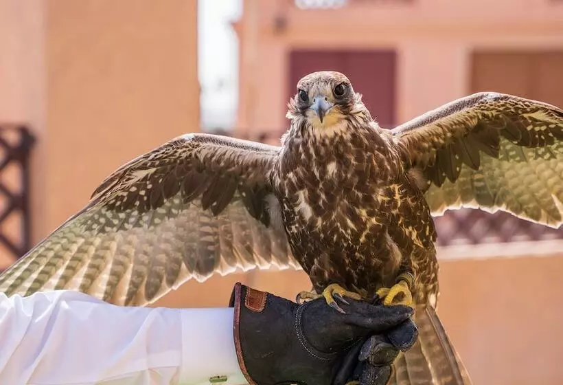 Hotelli Al Bada Resort