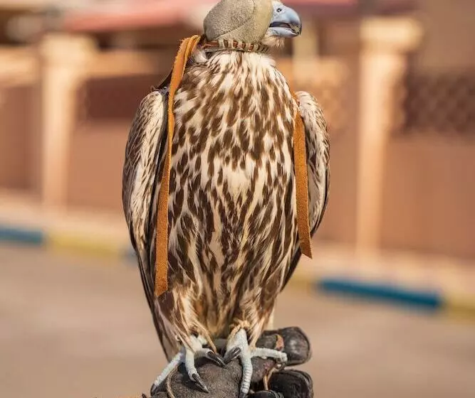 Hotelli Al Bada Resort