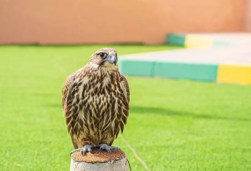 Hotelli Al Bada Resort