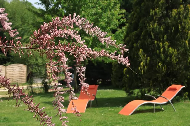 ベッドアンドブレックファースト La Maison Du Bonheur   Les Roulottes   Campsite