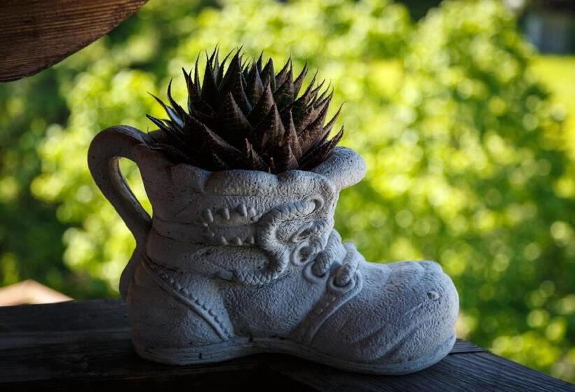 Пансион Haus Central