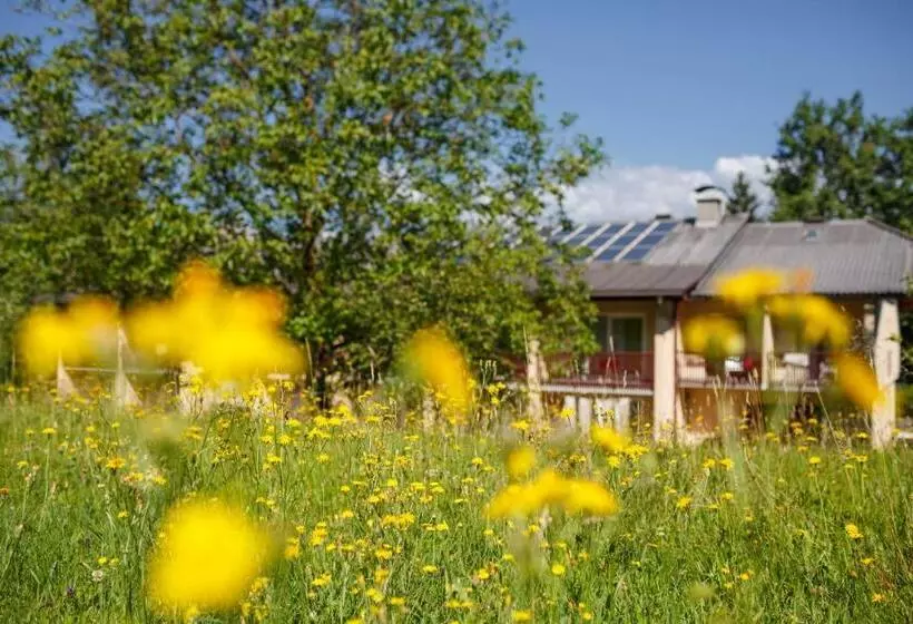 Seehotel Vinzenz