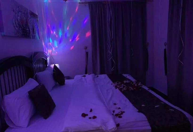 أضواء رفا 2