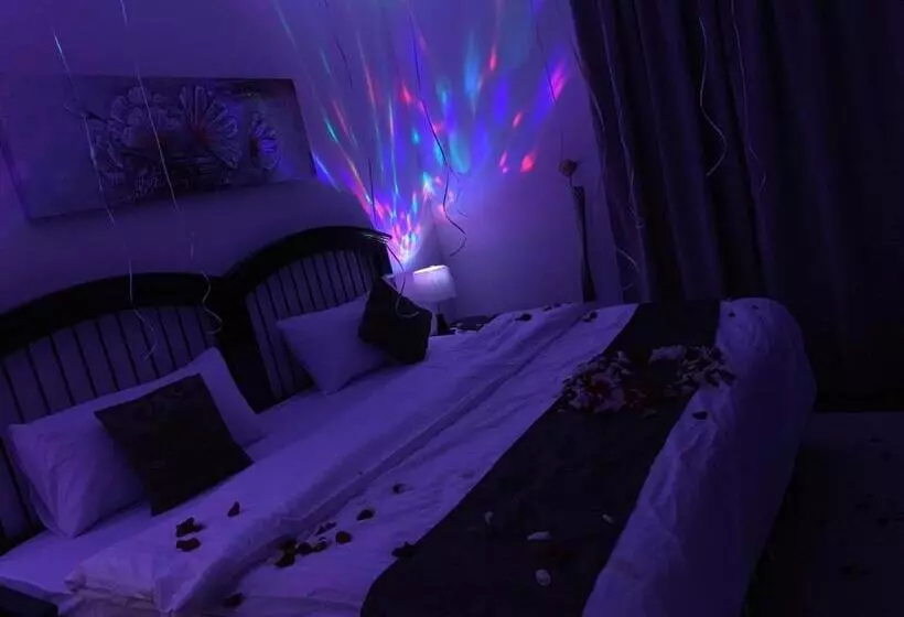 أضواء رفا 2