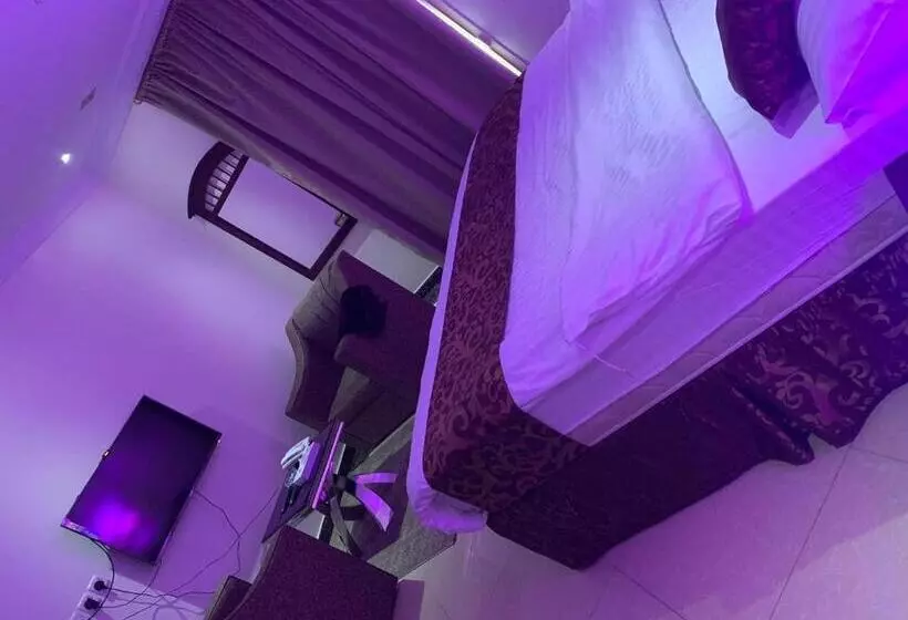 أضواء رفا 2