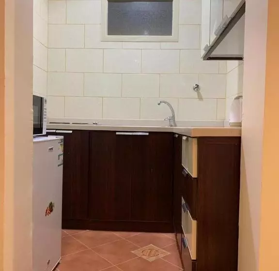 أضواء رفا 2