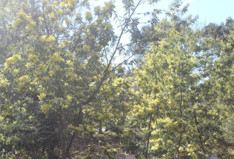 تختخواب و صبحانه Les Chambres Du Houron