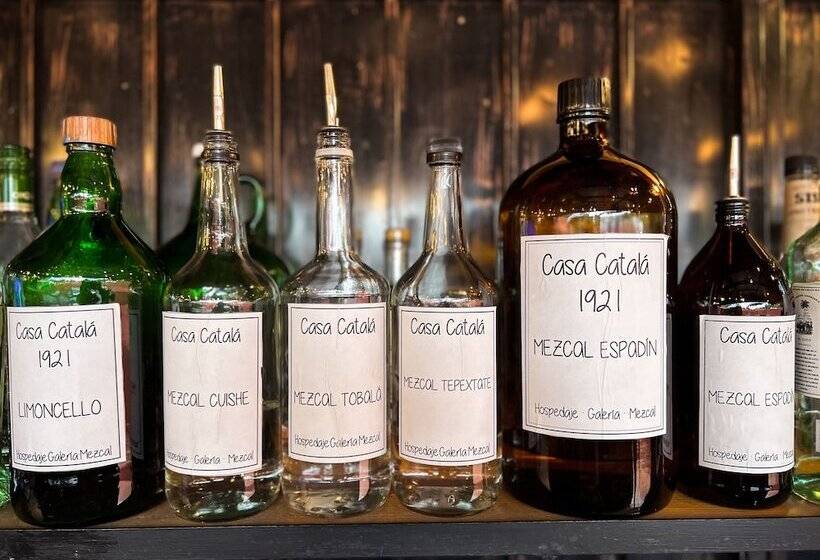 هتل Boutique Casa Catalá 1921