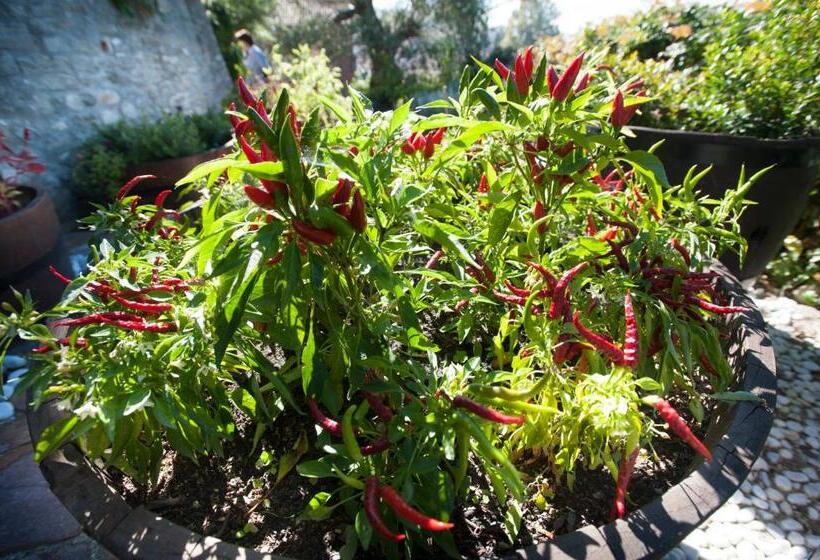 Felicin Palazzo Boeri Panoramic Suites