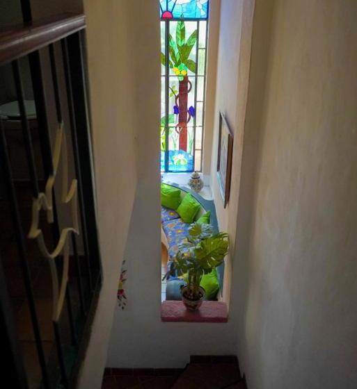 Hotel My Local Home Vallarta