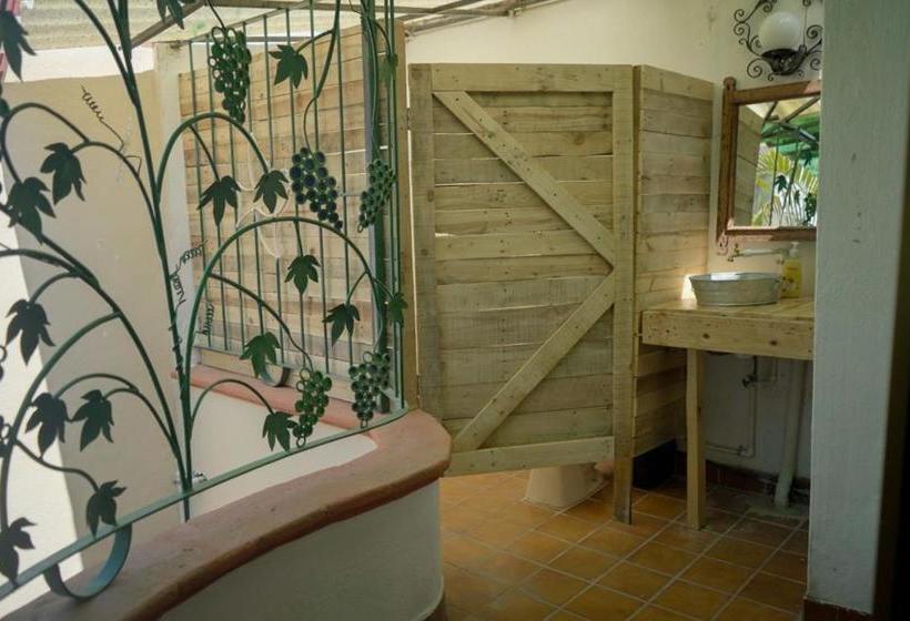 Szálloda My Local Home Vallarta