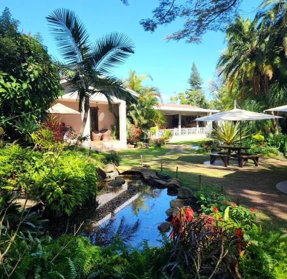 Mijn Kitchen Coffee Shop And B&b