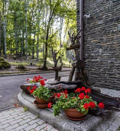 Hotelli 4 évszak Hegyi