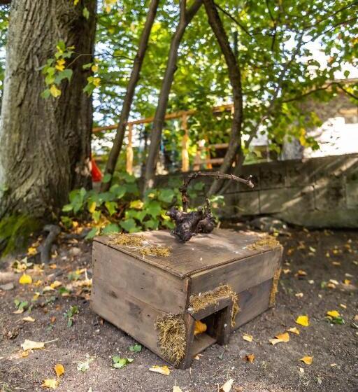 בית מלון כפרי 4 évszak Hegyi