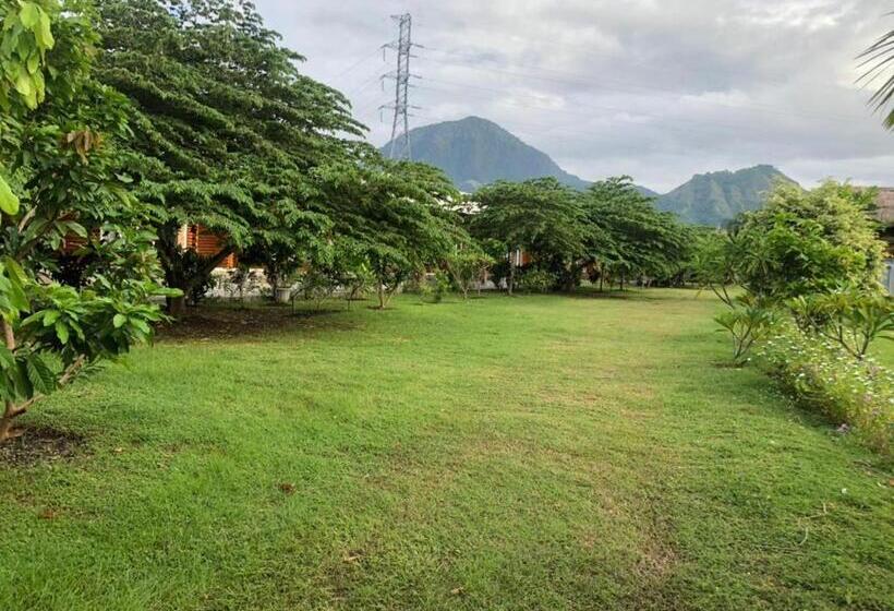 בית מלון כפרי Global View