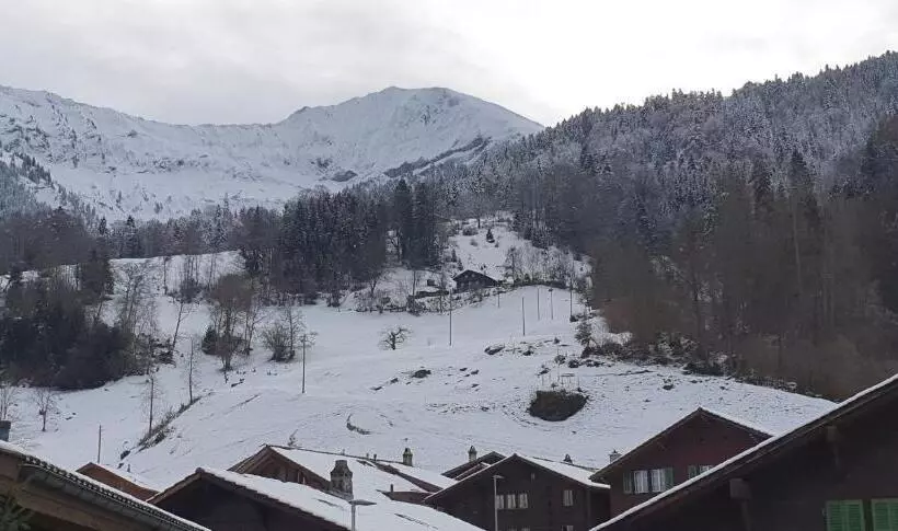 ホテル Rosengärtli