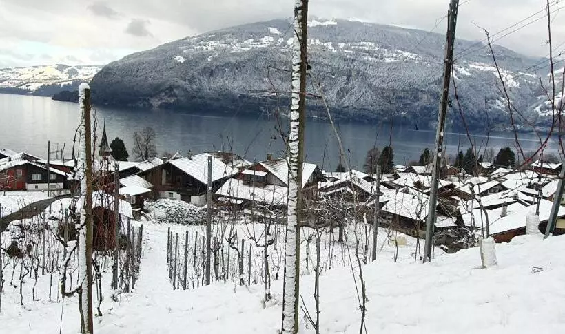 ホテル Rosengärtli