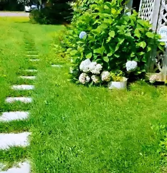 پانسیون Lily S Garden