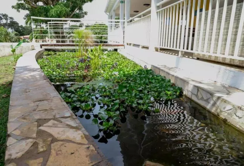 هتل Hôtel Saint Georges