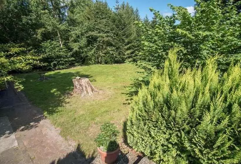 Hotelli Zur Schanze Holtgast Apen