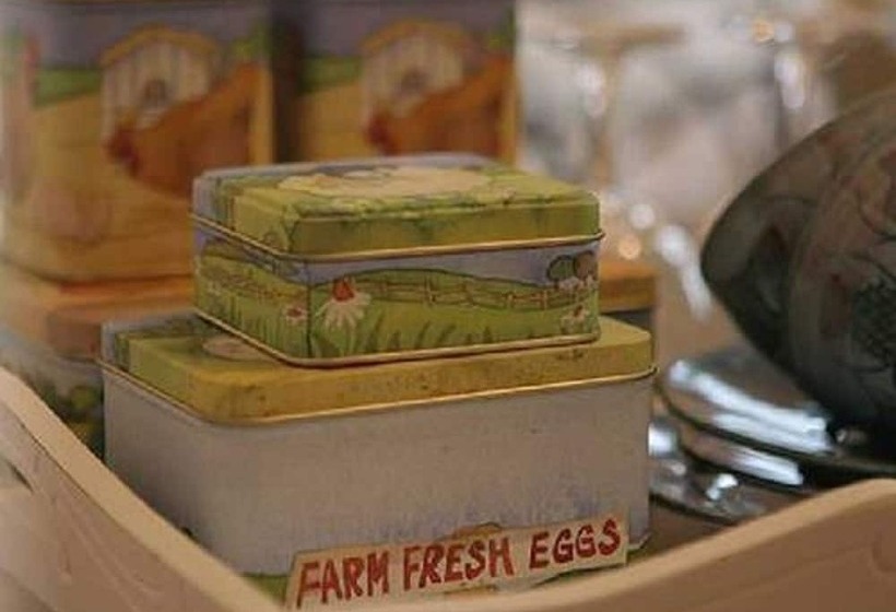 مبيت وإفطار Carndaisy House