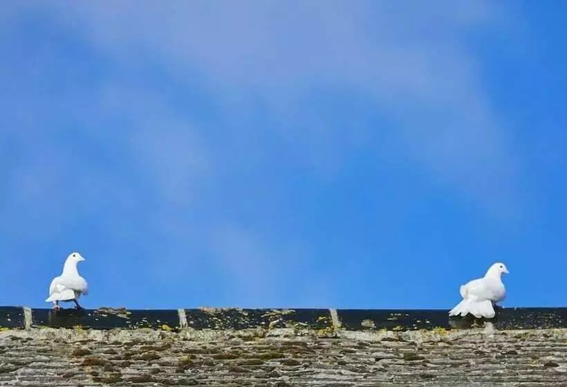 Majatalo Bosavern House