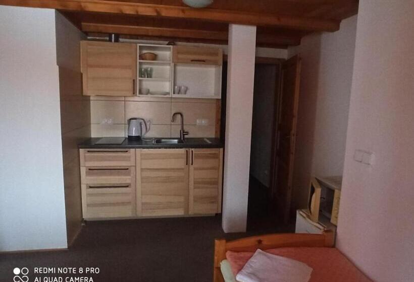 פנסיון Penzion Avalanche