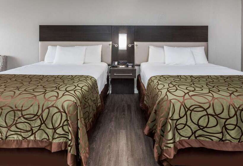 Hotel Days Inn By Wyndham Goose Creek