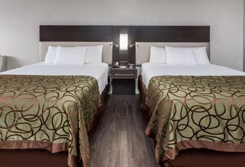 ホテル Days Inn By Wyndham Goose Creek