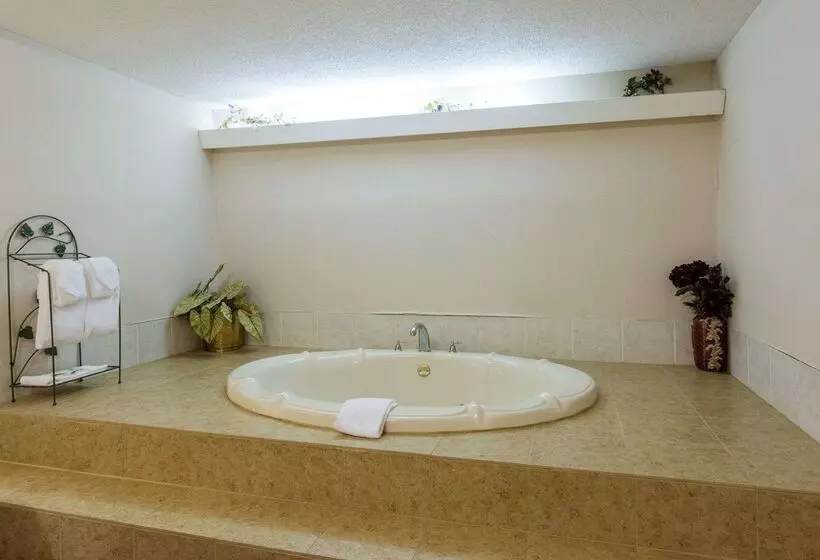 فندق Quality Inn