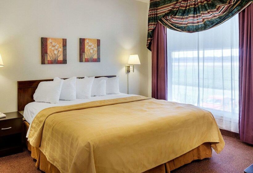 ホテル Quality Inn