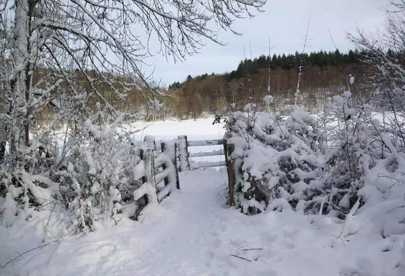 Pension Haus Liesertal