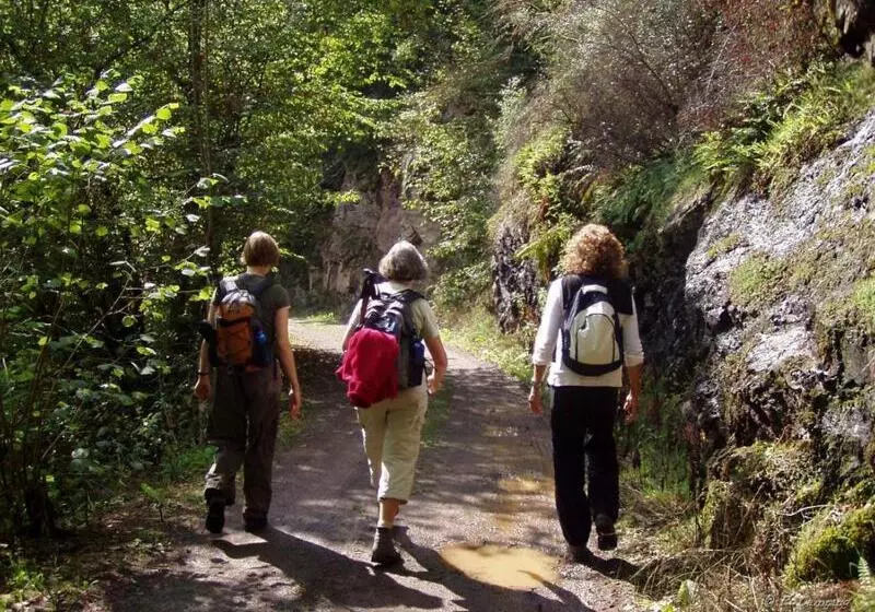 Pension Haus Liesertal