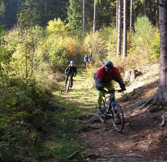 Pension Haus Liesertal