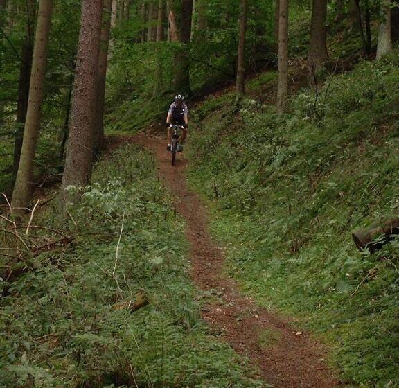 Pension Haus Liesertal