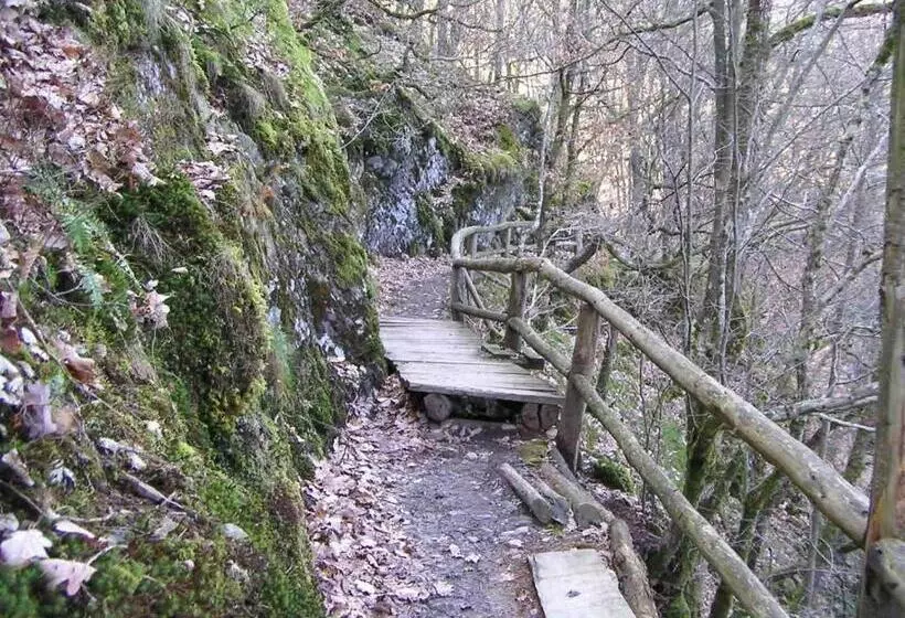 Pension Haus Liesertal